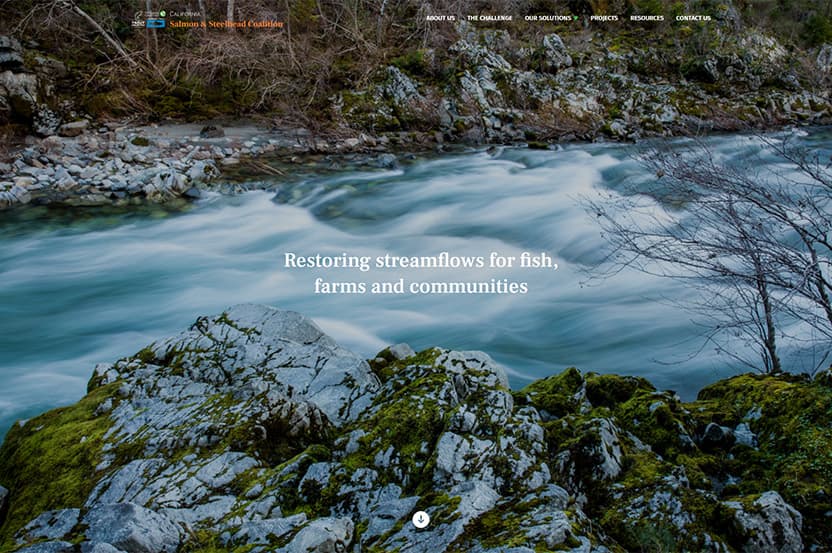 Screenshots of the website redesign project