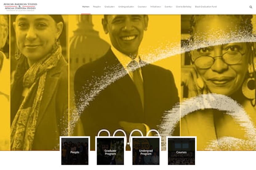 Screenshot of The Department of African American Studies