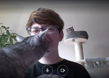 Project Manager at Xfive, Agnes (and her cats), during the Zoom call.